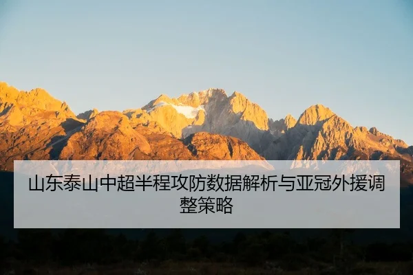 shan-dong-tai-shan-zhong-chao-ban-cheng-gong-fang-shu-ju-jie-xi-yu-ya-guan-wai-yuan-tiao-zheng-ce-lve-2-300.jpg