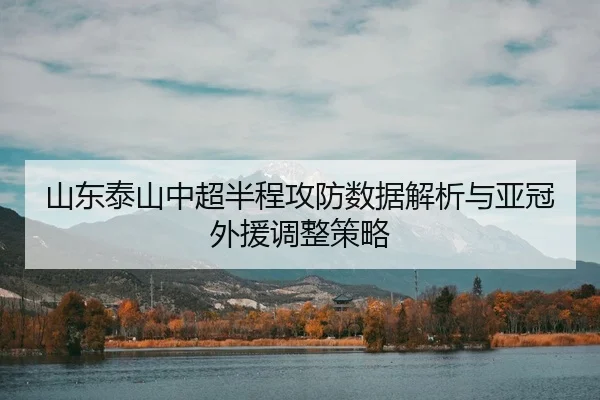 shan-dong-tai-shan-zhong-chao-ban-cheng-gong-fang-shu-ju-jie-xi-yu-ya-guan-wai-yuan-tiao-zheng-ce-lve-3-981.jpg