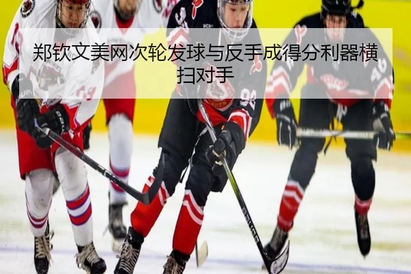 zheng-qin-wen-mei-wang-ci-lun-fa-qiu-yu-fan-shou-cheng-de-fen-li-qi-heng-sao-dui-shou-2-972.jpg