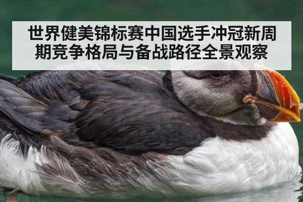 世界健美锦标赛中国选手冲冠新周期竞争格局与备战路径全景观察